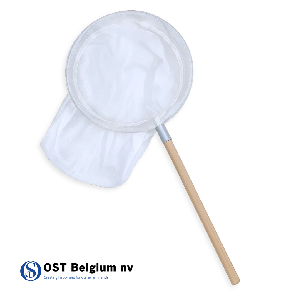 Epuisette perroquet 35 cm, longueur manche 40 cm