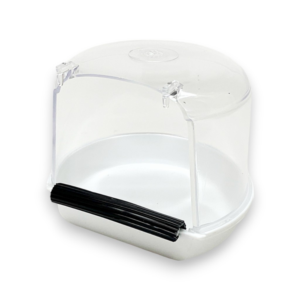bain d'oiseaux petit
